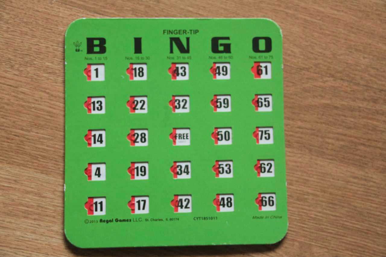 Contacto Bingo Profesional